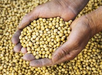 德国中产排队领救济粮？贫困与负担加剧引热议