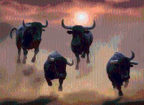 大家养老100%股权挂牌转让,经营承压与未来展望