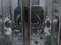 中国空间站成功开展拟南芥和水稻全生命周期培养实验