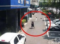 杭州老奶奶遭电信诈骗,所幸途中选择自首避免损失