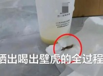 古茗奶茶被曝喝出壁虎,涉事门店停业自查