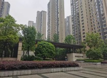 人口普查揭示居住与婚姻新趋势