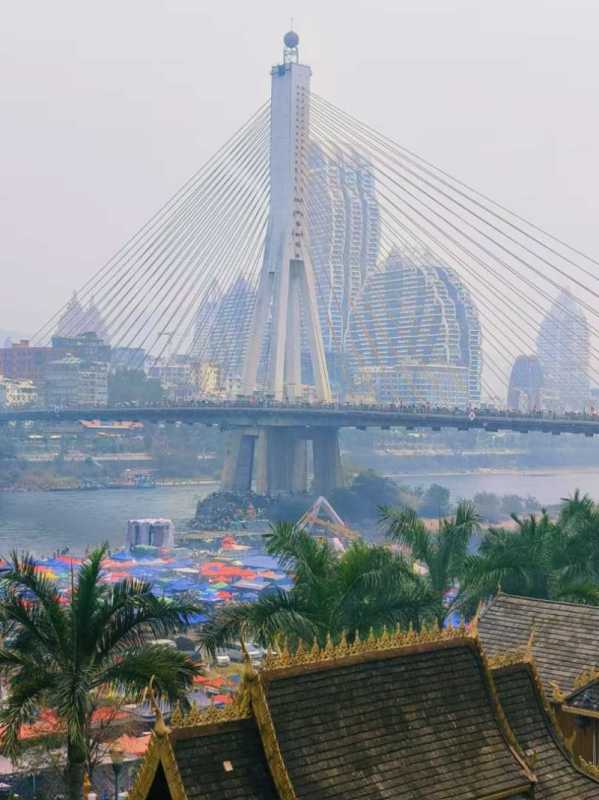 四季如春的西双版纳图源:受访者提供