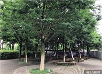 欧盟批准2021至2027年财政预算,将开征塑料包装税