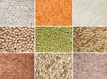 中国饲料粮减量替代战略显成效