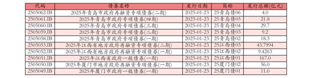 地方政府债券发行详情表