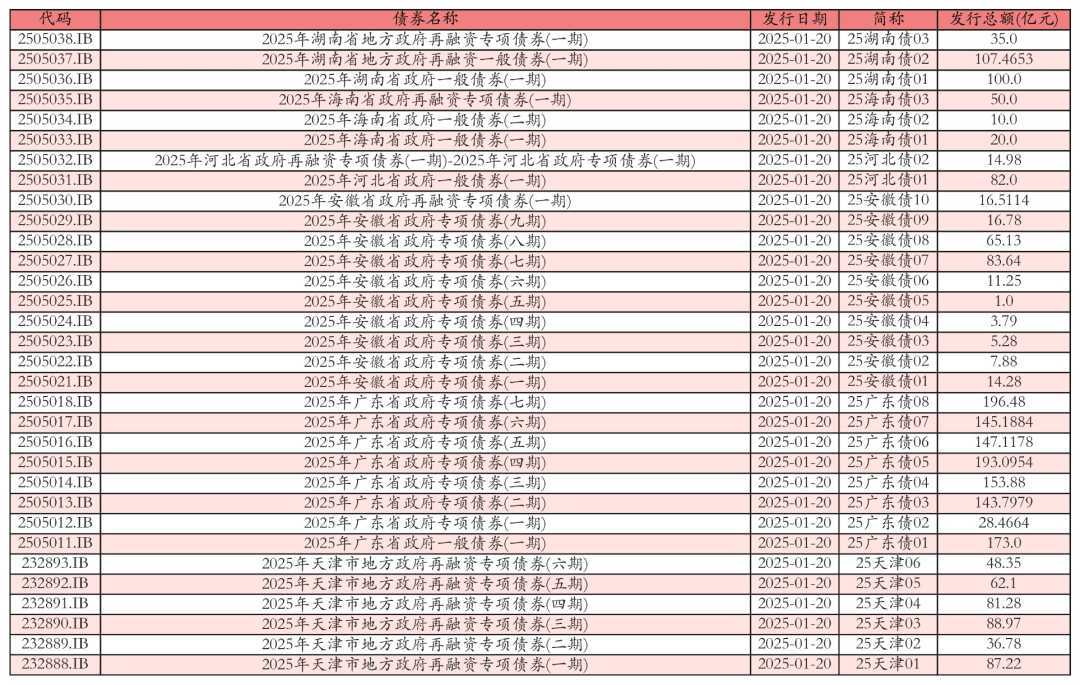 地方政府债发行详情表