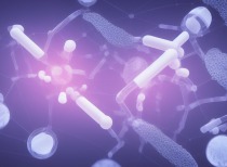 核子基因及张核子被限制消费,曾涉核酸检测多次违规