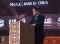 潘功胜出席新兴市场经济体研讨会，强调全球经济合作与治理