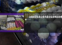 美国“蛋荒”持续,食品价格上涨引发民众担忧