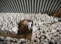 日本米价暴涨92.1%，通胀高企影响央行加息决策