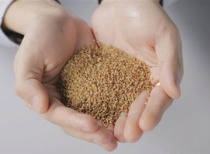 中东欧农食产品加速入华,双边贸易总值持续增长