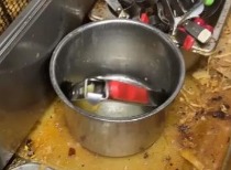 牛约堡后厨脏乱差被曝光 食品安全问题引关注