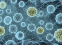 广东顺德基孔肯雅热疫情通报及防控指南