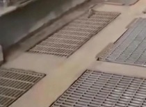 东北大学学生铜矿实习溺亡事故追踪