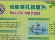 广东基孔肯雅热疫情解析：预防与应对措施