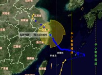 台风“竹节草”登陆上海浙江，多地交通受影响