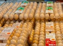 鸡蛋市场旺季不旺 价格低迷养殖户愁