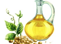 油脂市场基本面强，棕榈油美豆政策引关注