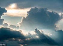 苯乙烯市场：开工高企与需求弱势下的价格下行风险