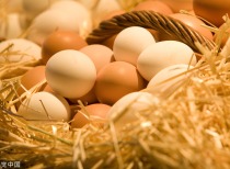 鸡蛋期现货回暖，多因素驱动蛋价反弹