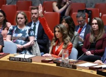 联合国安理会表决加沙停火决议，美国一票否决引关注