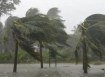 台风“麦德姆”来袭，华南地区严阵以待