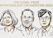 2025年诺贝尔生理学或医学奖揭晓，三位科学家获殊荣