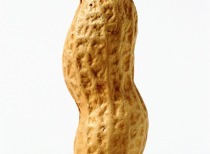 花生收获期遇天气挑战，花生期货市场波动引关注