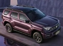 长城汽车新品预售，销量创新高，全球化战略显成效