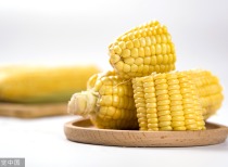 玉米期货减产预期升温，后市价格或震荡上行