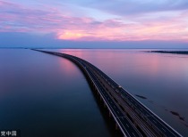 11月国内进口菜籽油价格或下跌，多重因素影响市场