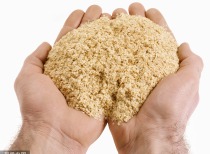 11月豆粕市场：供应压力缓解，价格重心有望上移