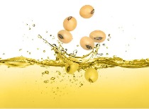 豆油市场受多因素影响，本周或震荡走高