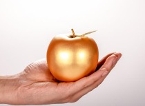 万科获深铁16.66亿借款，助力企业资金周转与发展