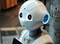 中信证券完成宇树科技新股上市辅导，上市进程引关注