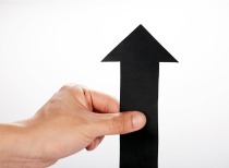 2025年全国棉花产量稳步增长