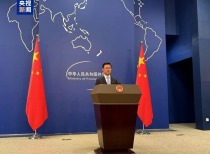 外交部发言人谈日本自卫队战斗机“雷达照射”问题