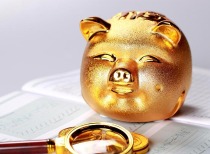 中国大宗商品价格指数报告（2025）