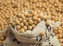 豆粕市场展望：供强需弱格局延续