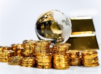 关于实施民间投资专项担保计划的通知