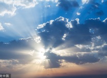 PVC期价震荡回落 春节后春检规模或扩大