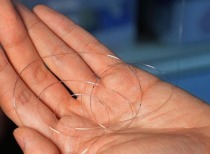 复旦科研团队实现“纤维芯片”制备