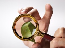 主动权益型基金行业配置特征：拥抱AI，布局复苏