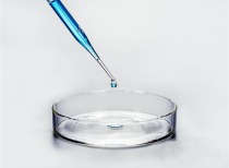 黄金、地缘政治及美联储主席人选等资讯