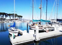 油轮租金飙涨：一天运费破17万美元！专家：前所未见