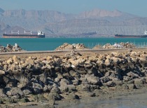 伊朗拟对霍尔木兹海峡船只征收通行费