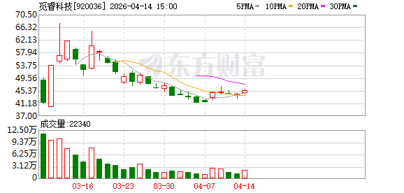 觅睿科技：公司聚焦品牌大客户，构建高粘性的海外大客户生态