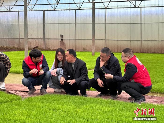 深耕特色产业一线 重庆科技特派员助推渝东北乡村振兴