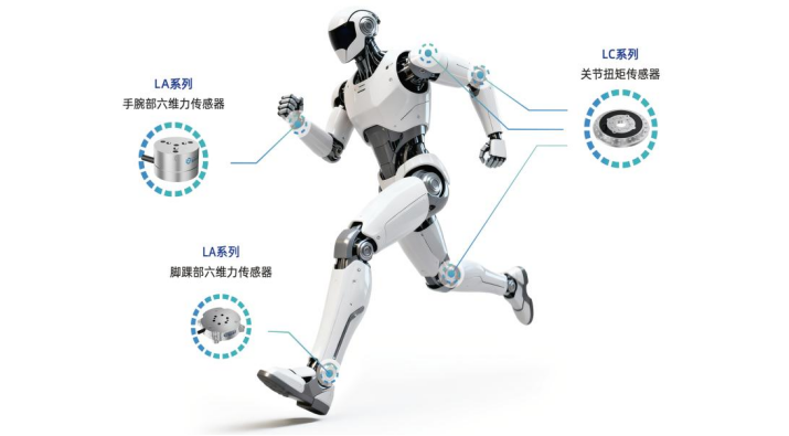 马拉松狂奔背后 蓝点触控给机器人装上“力觉神经”